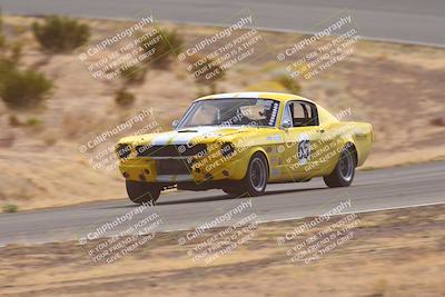 media/Oct-25-2025-West Coast Racing (Sat) [[9fdcbcd09c]]/Red group/Turn 2/